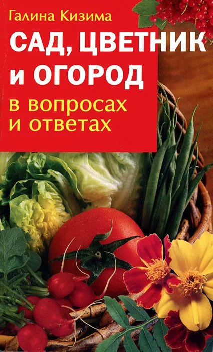 Обложка Сад, цветник и огород в вопросах и ответах