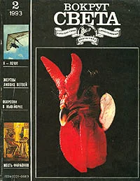 Обложка Гамма-южная