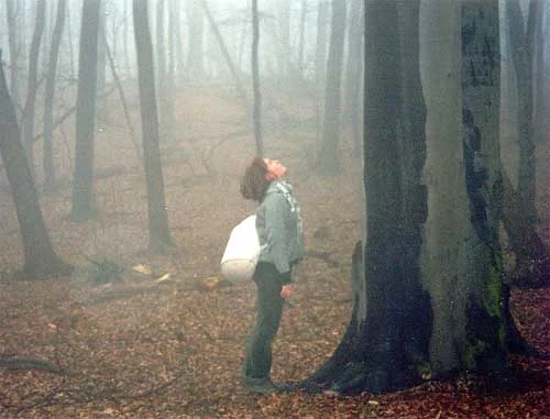 Обложка Книга (Венок Сонетов).