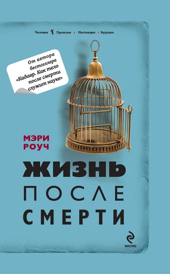 Обложка Жизнь после смерти
