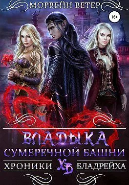 Обложка Владыка сумеречной башни