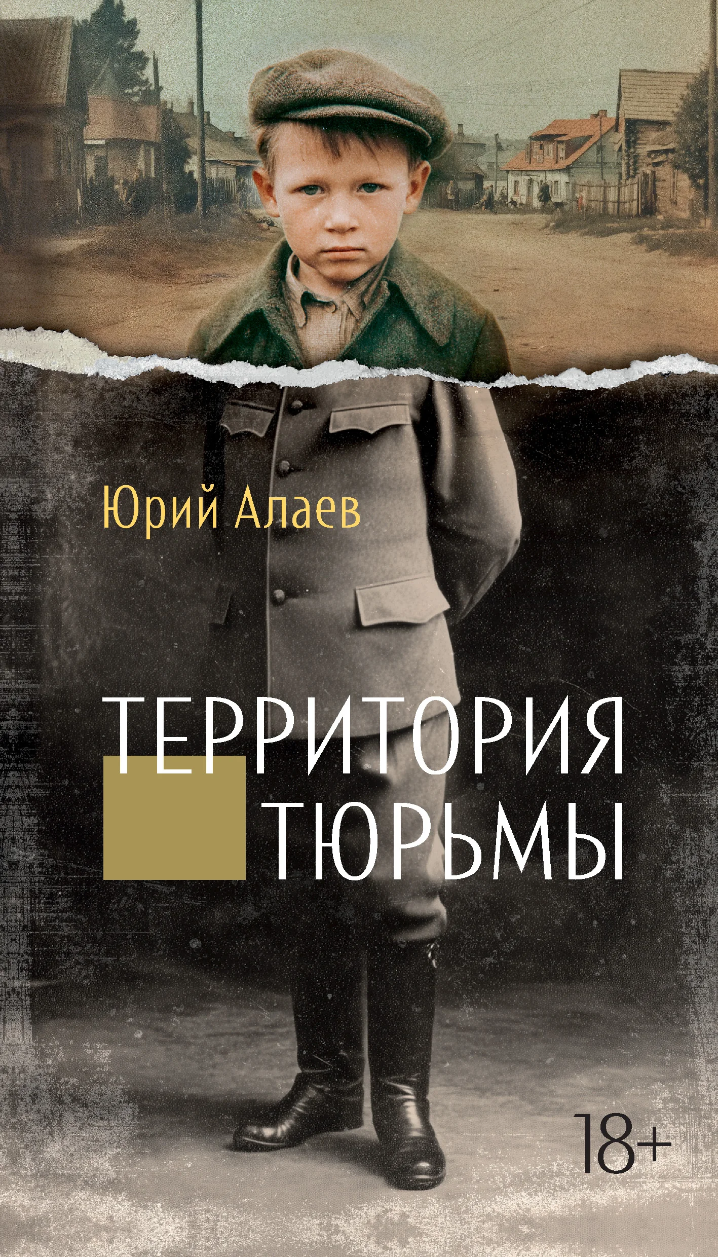 Обложка Территория тюрьмы