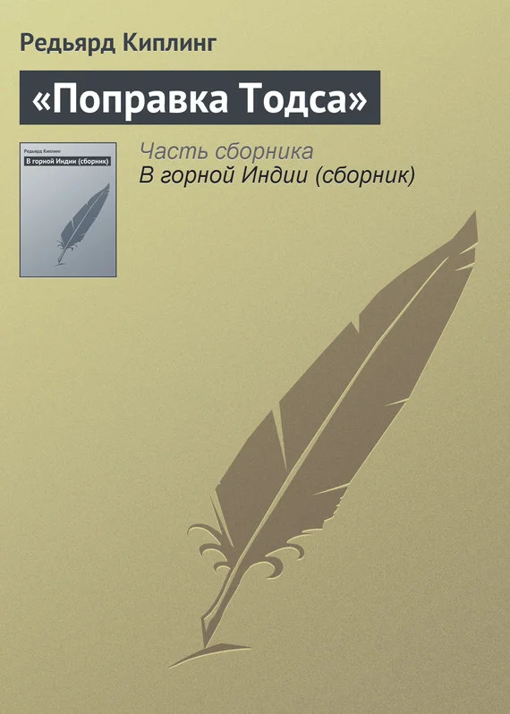 Обложка Поправка Тодса