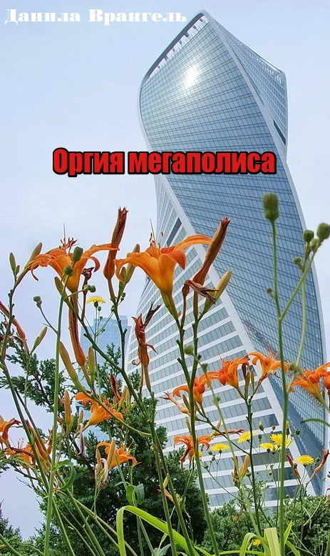 Обложка Оргия мегаполиса