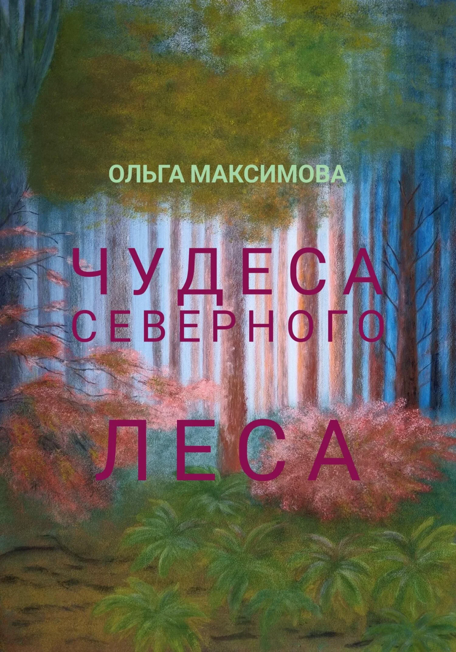 Обложка Чудеса северного леса