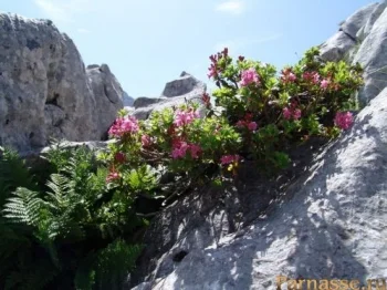 Обложка Муки творчества