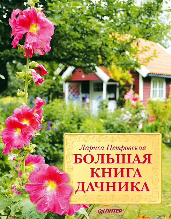 Обложка Большая книга дачника