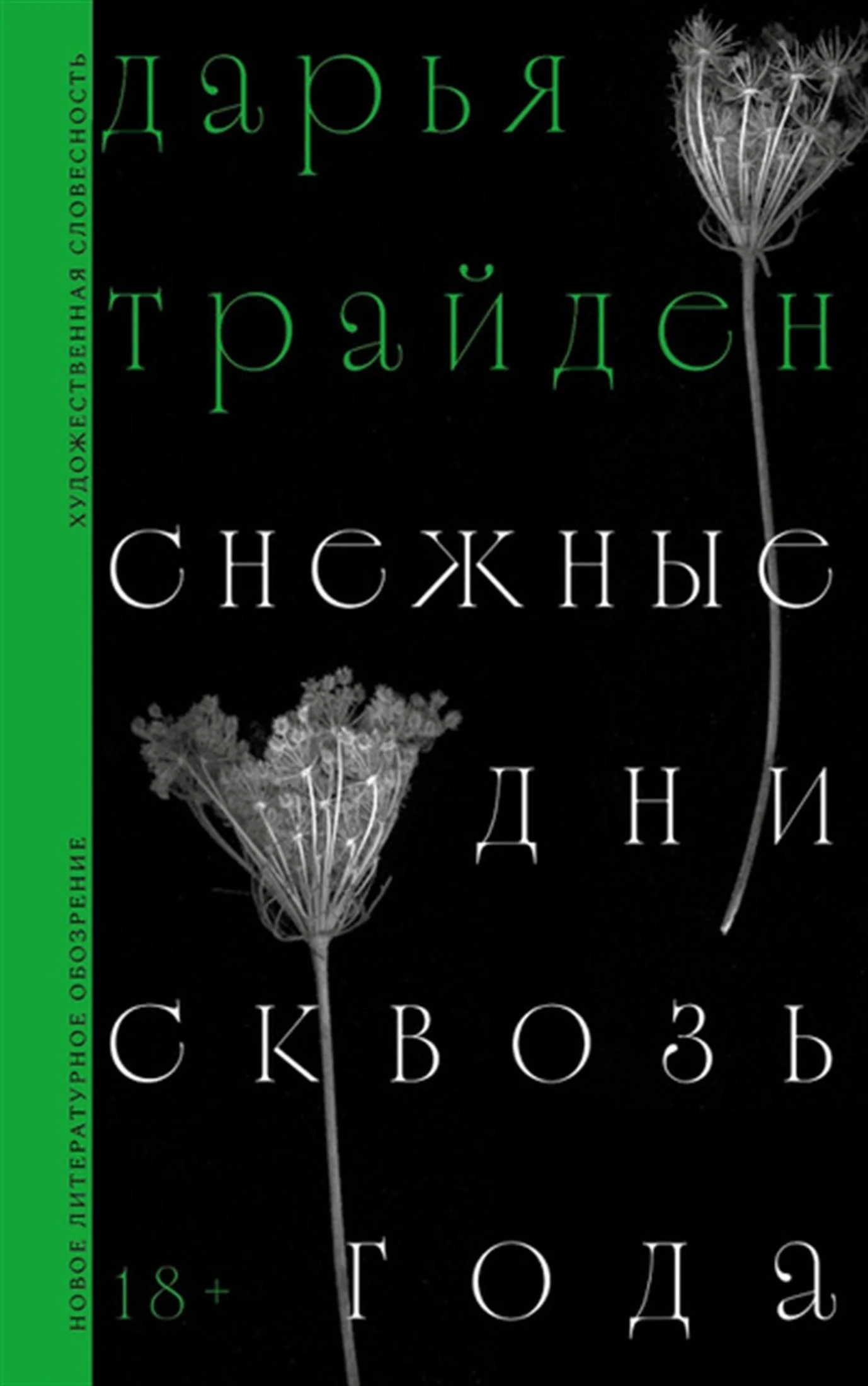 Обложка Снежные дни сквозь года