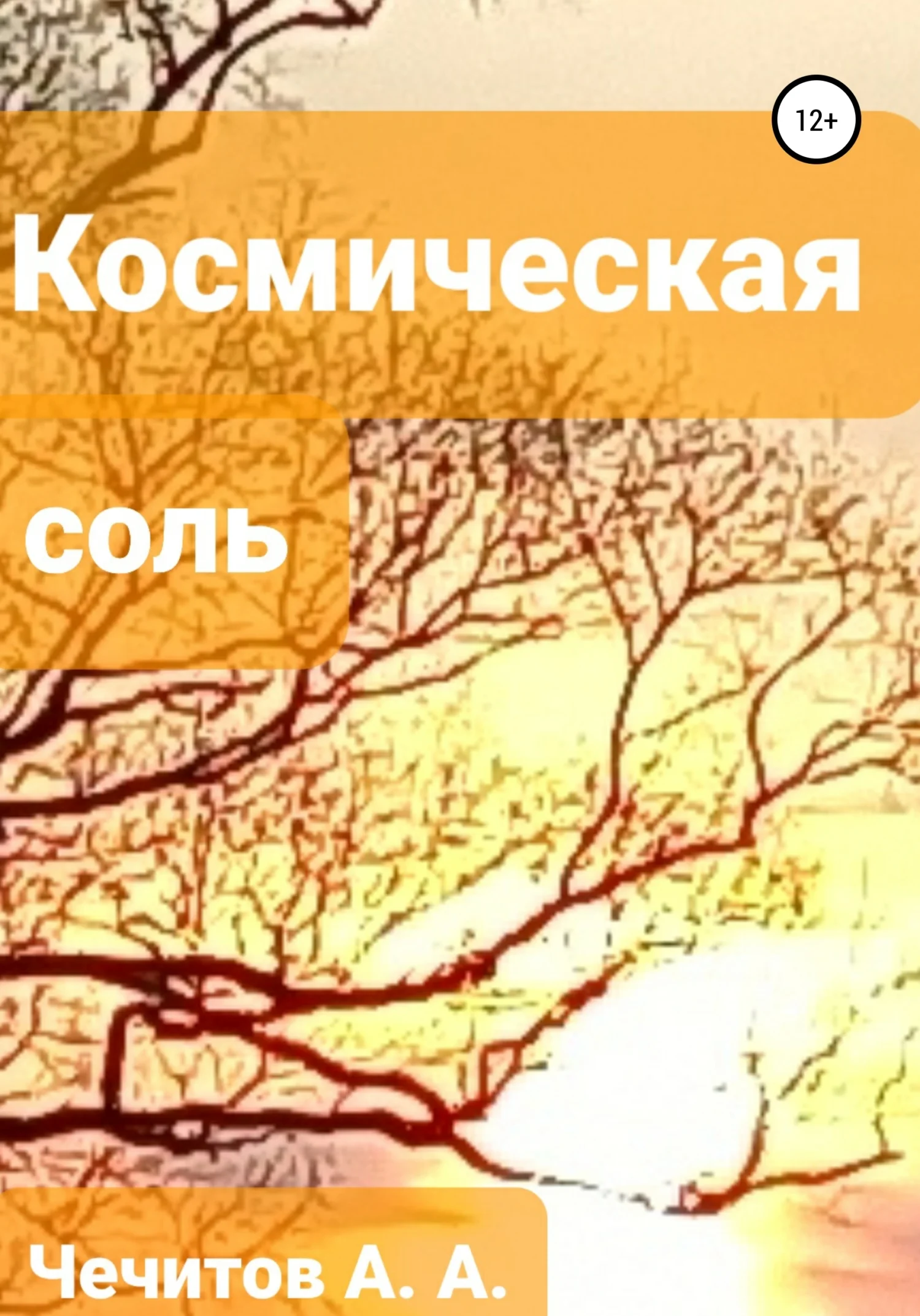 Обложка Космическая соль