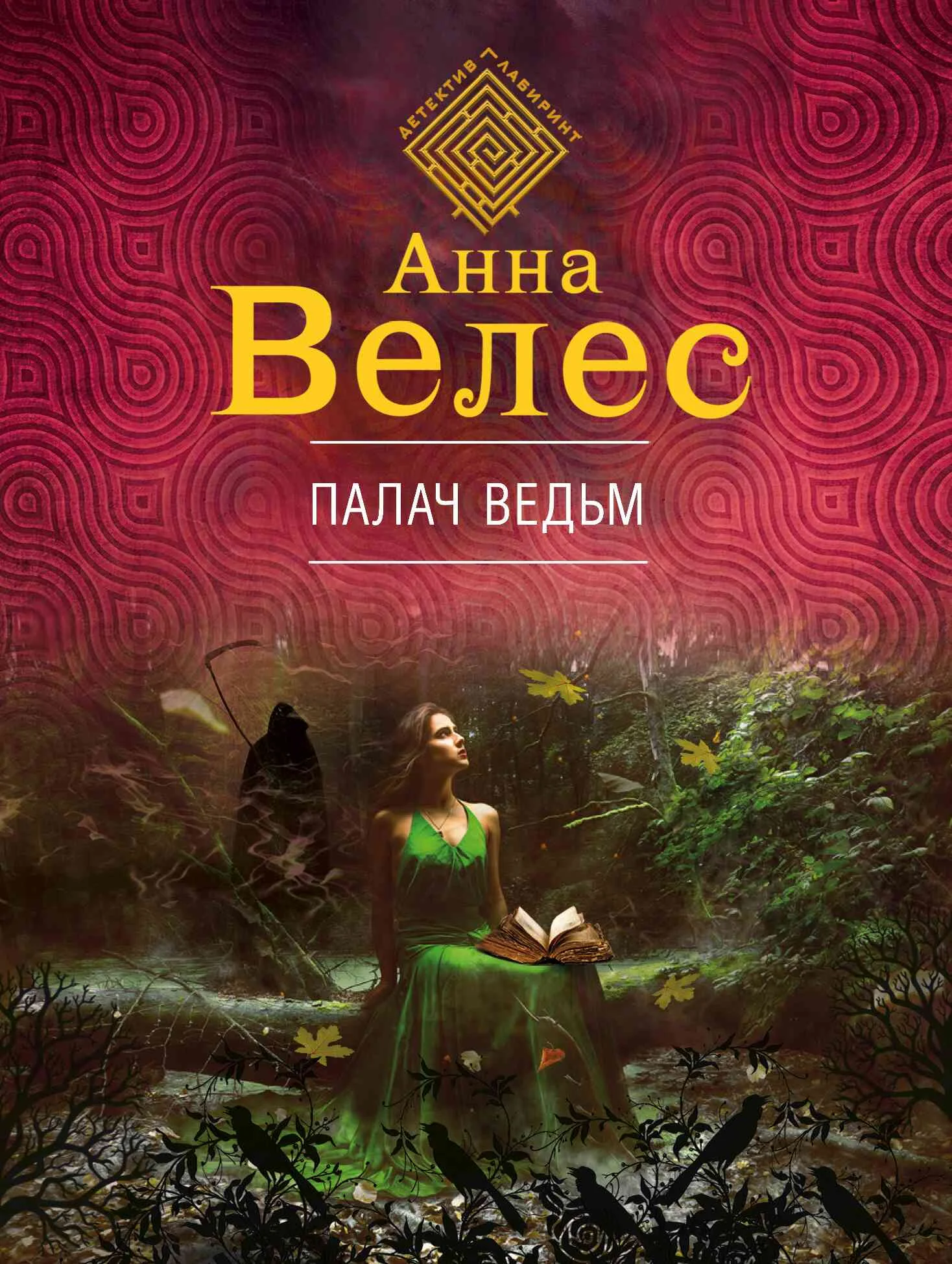Обложка Палач ведьм