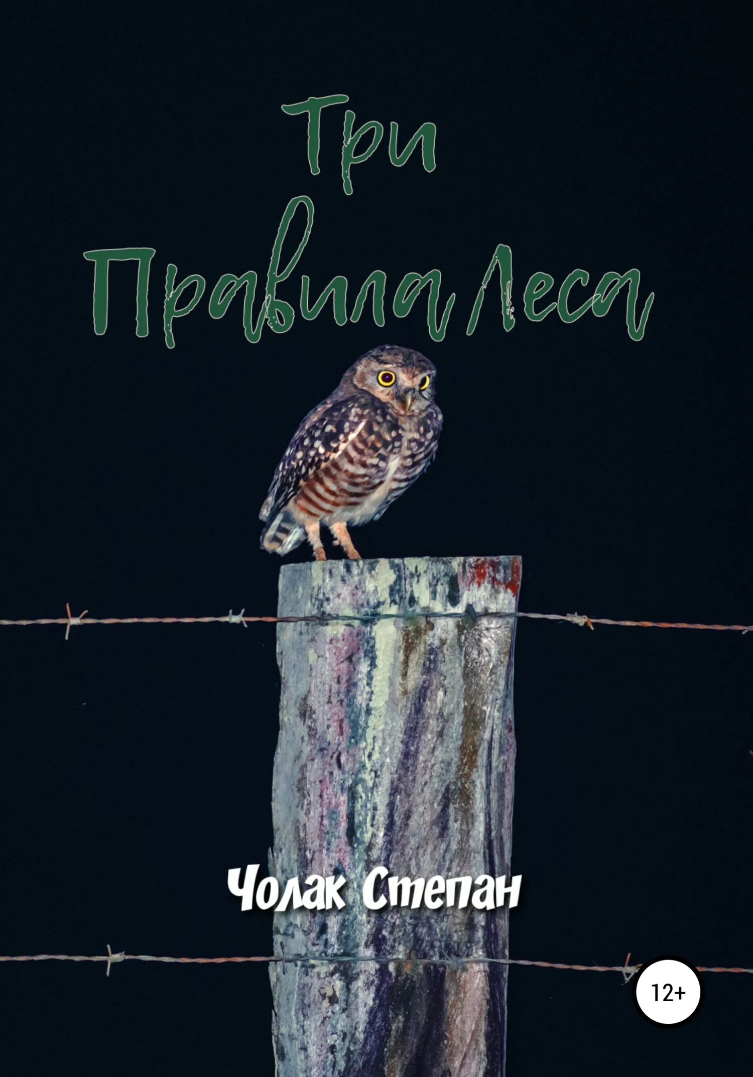 Обложка Три правила леса