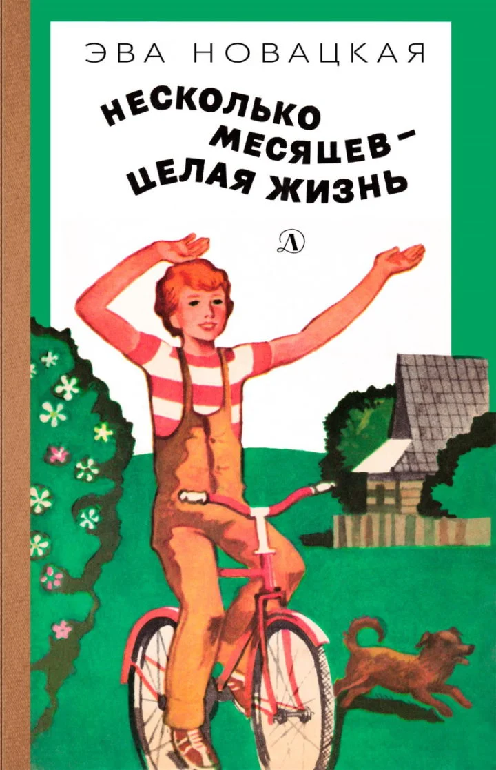 Обложка Несколько месяцев — целая жизнь