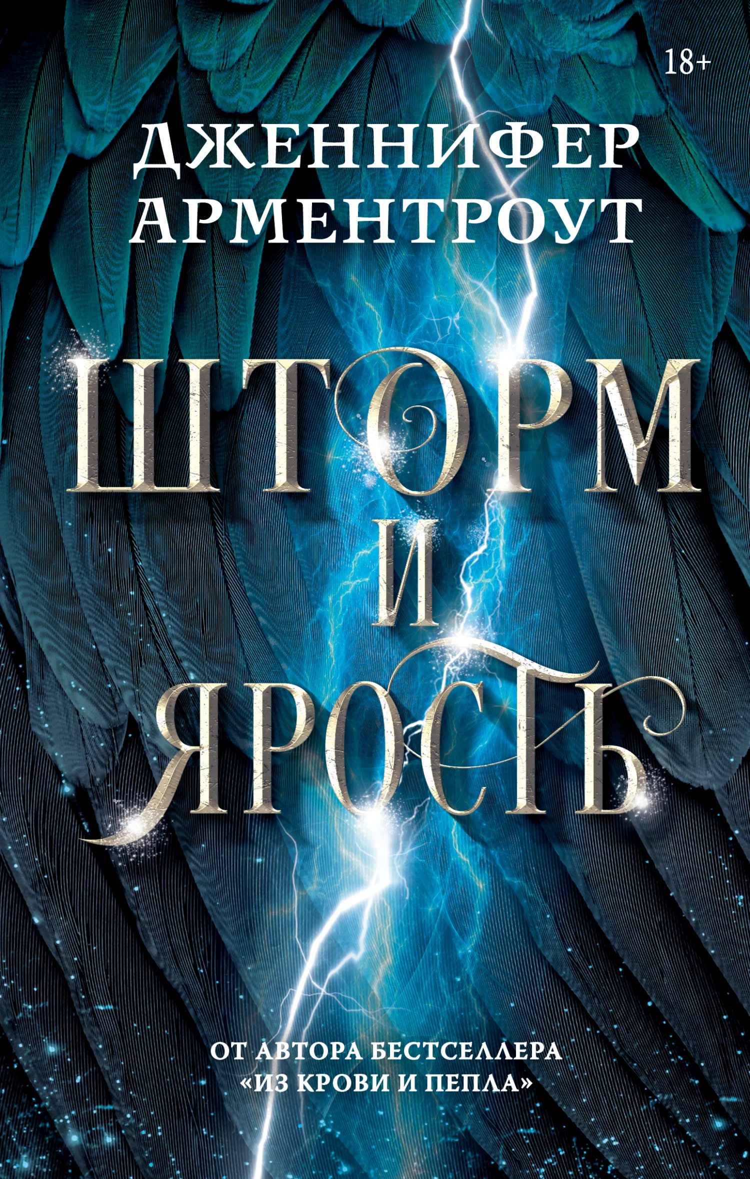 Обложка Шторм и ярость