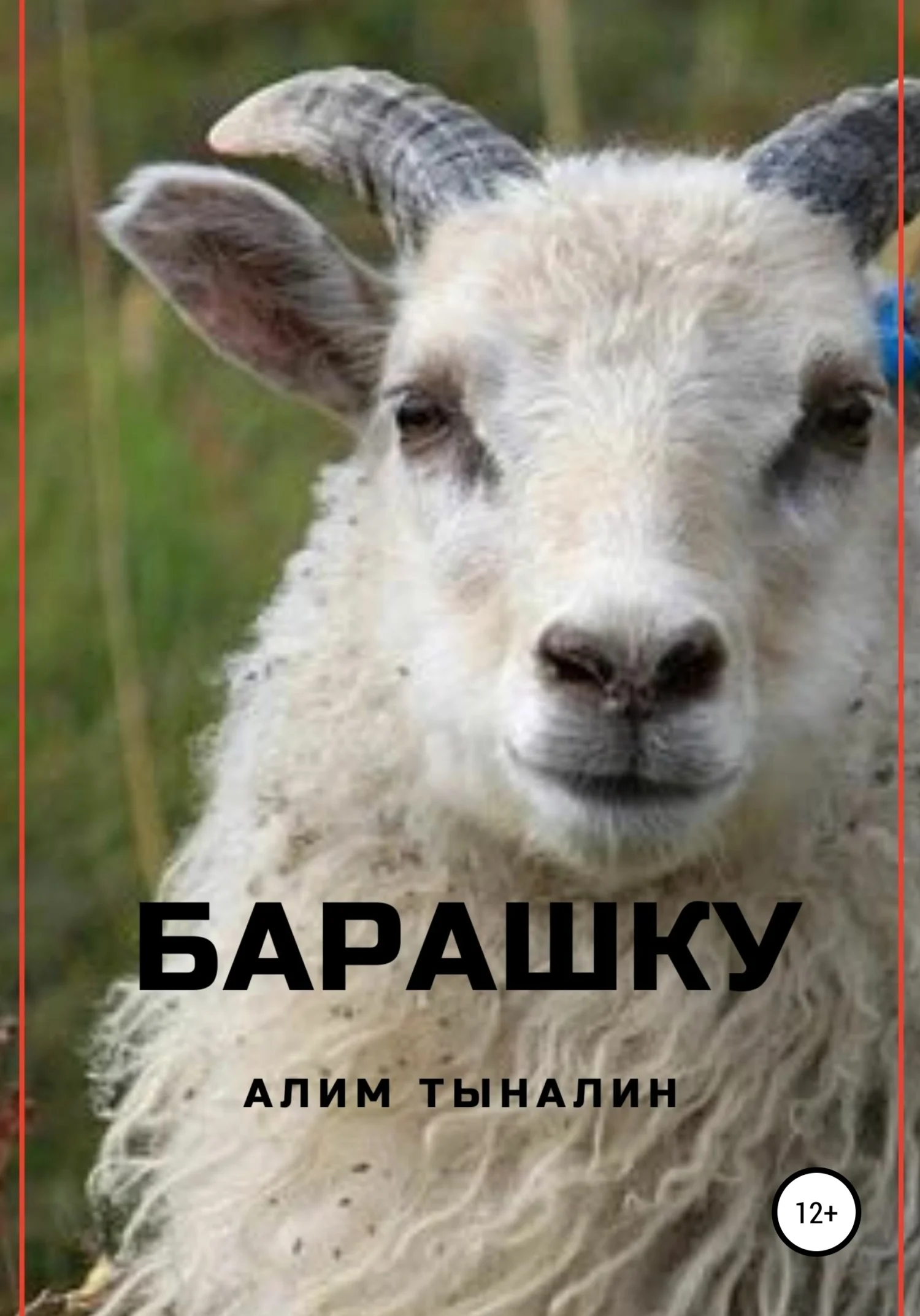 Обложка Барашку