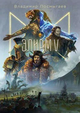 Обложка Элирм V