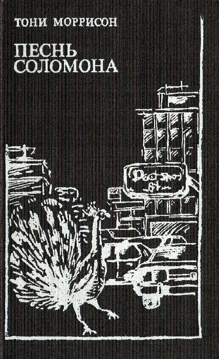 Обложка Песнь Соломона
