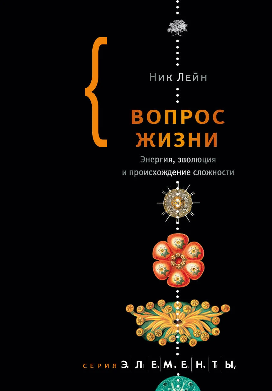 Обложка Вопрос жизни. Энергия, эволюция и происхождение сложности