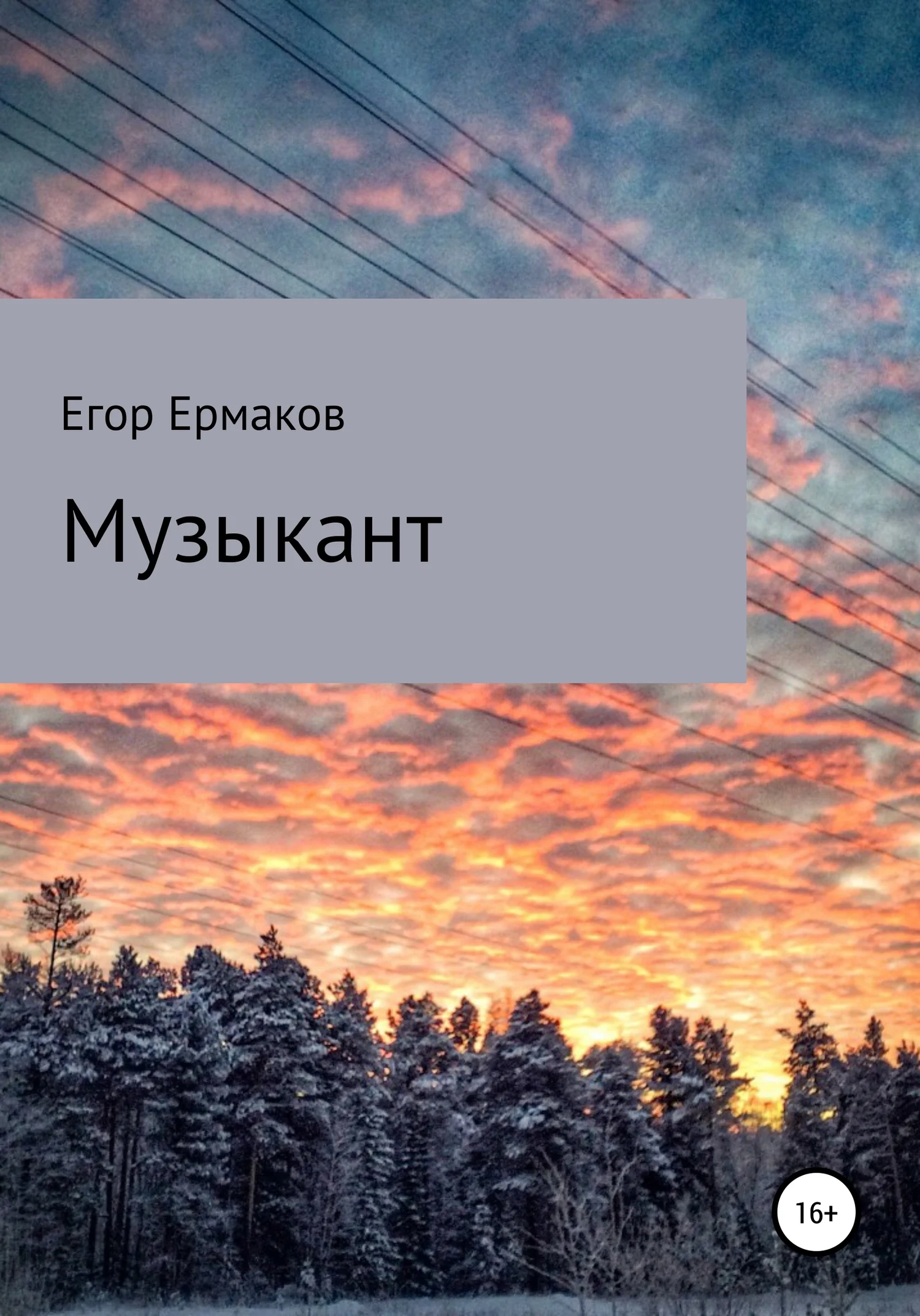 Обложка Музыкант