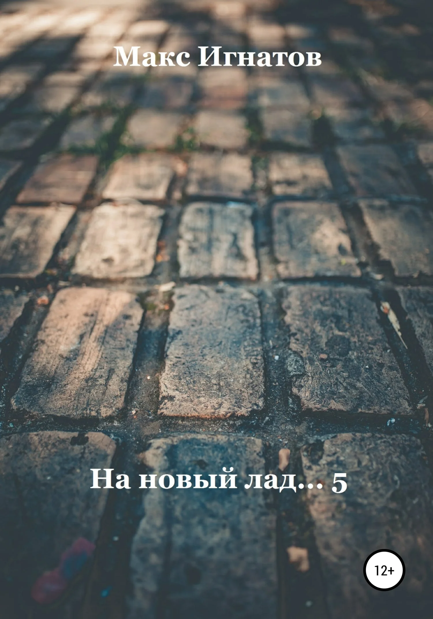 Обложка На новый лад… 5