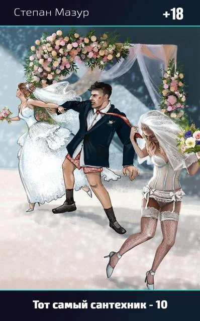 Обложка Тот самый сантехник 10