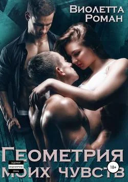 Обложка Геометрия моих чувств