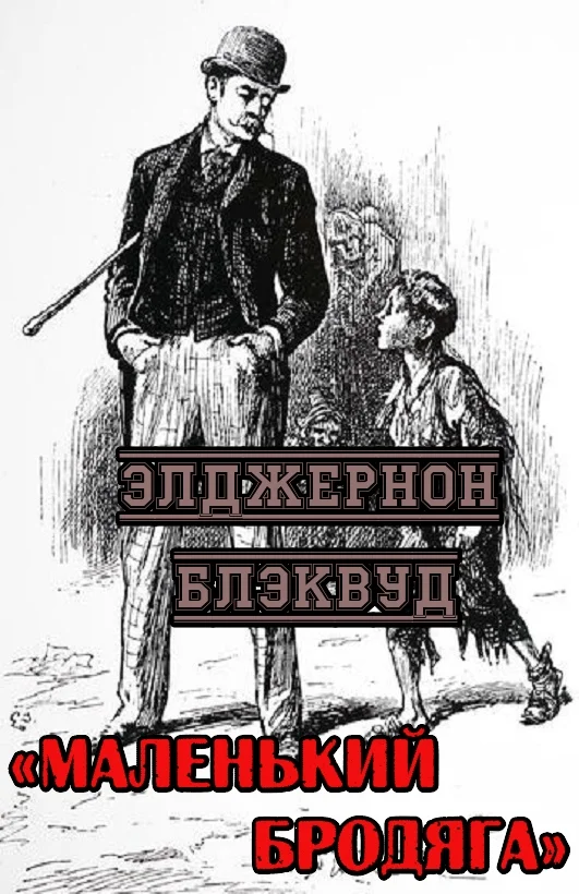 Обложка Маленький бродяга
