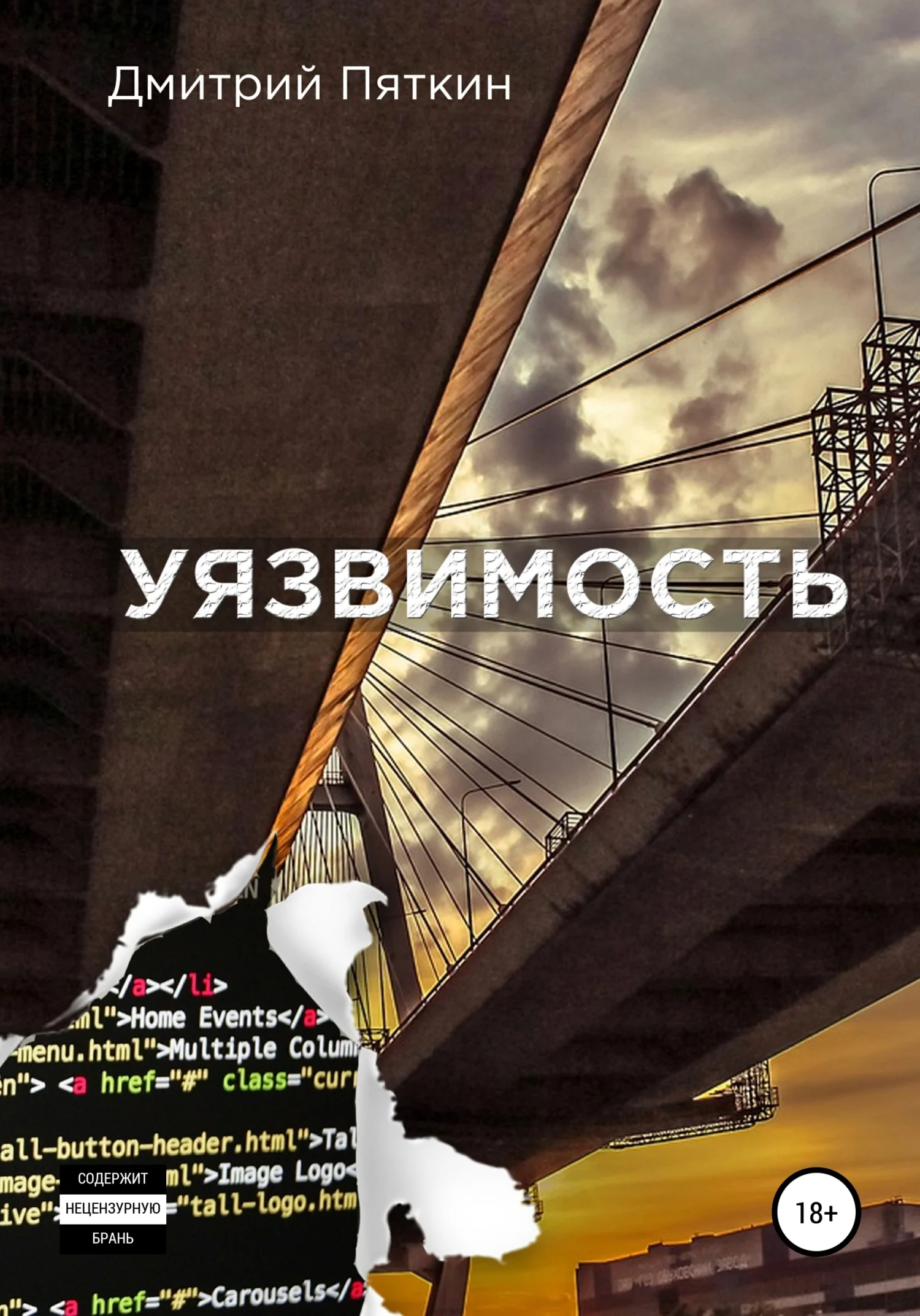 Обложка Уязвимость