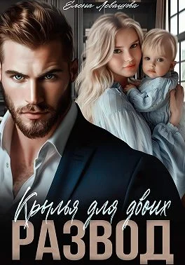 Обложка Крылья для двоих. Развод