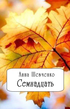 Обложка Семнадцать(СИ)