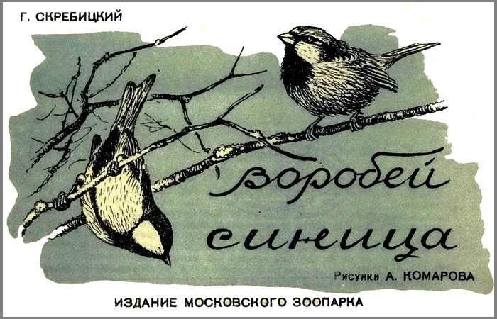 Обложка Воробей. Синица