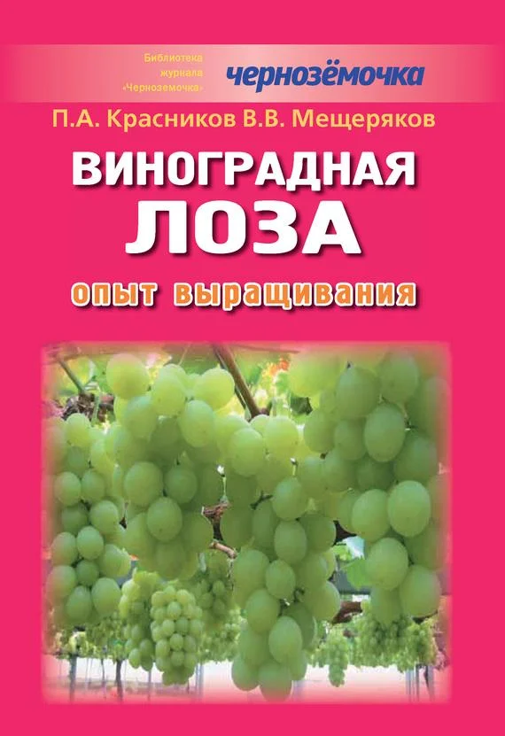 Обложка Виноградная лоза. Опыт выращивания