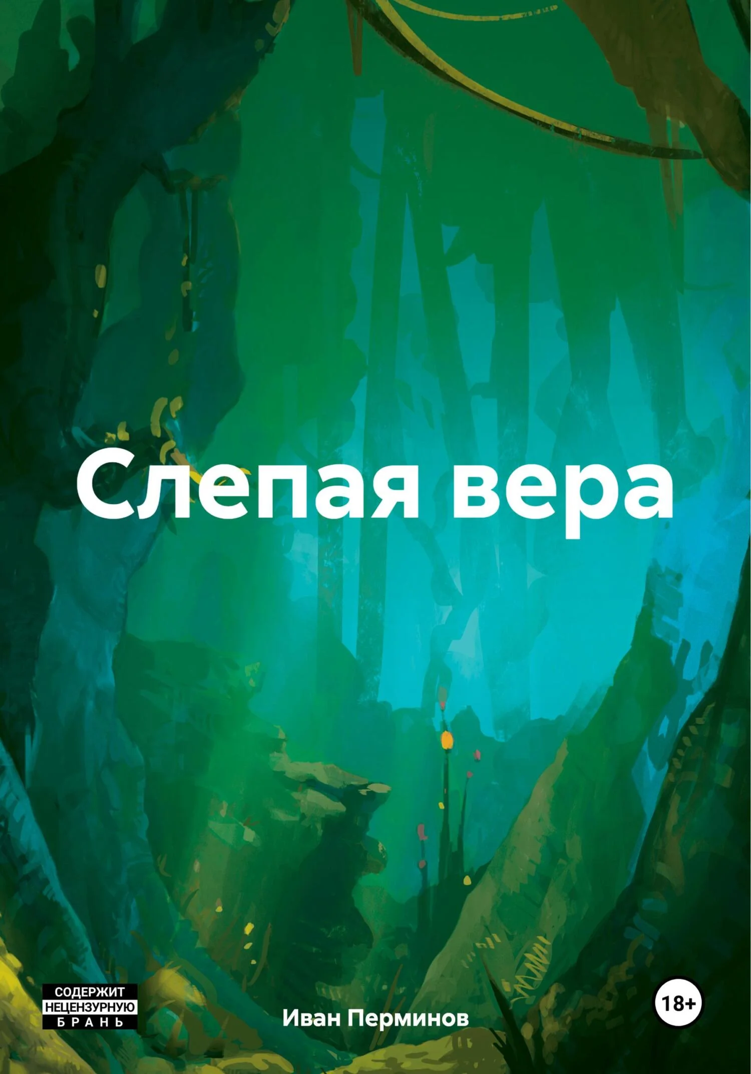 Обложка Слепая вера