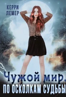 Обложка По осколкам судьбы
