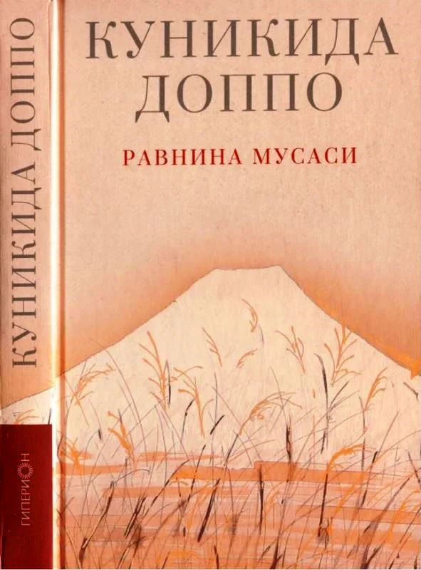 Обложка Равнина Мусаси