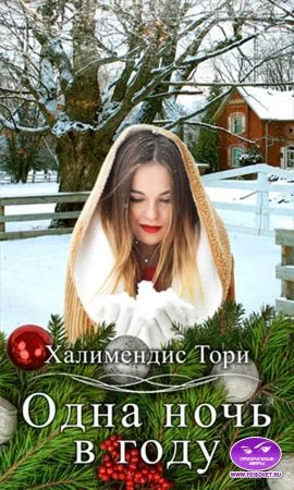 Обложка Одна ночь в году