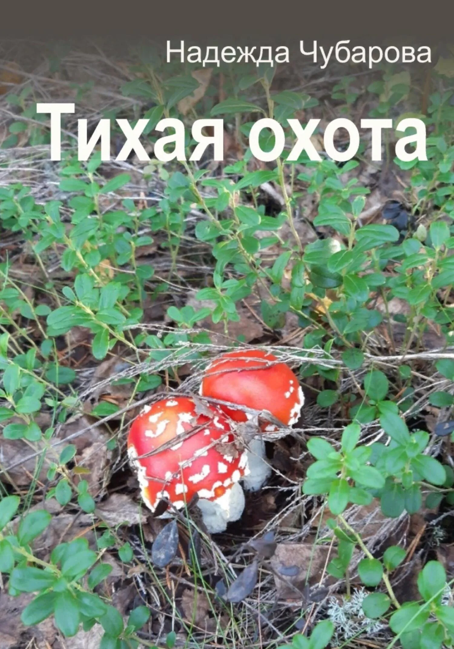 Обложка Тихая охота