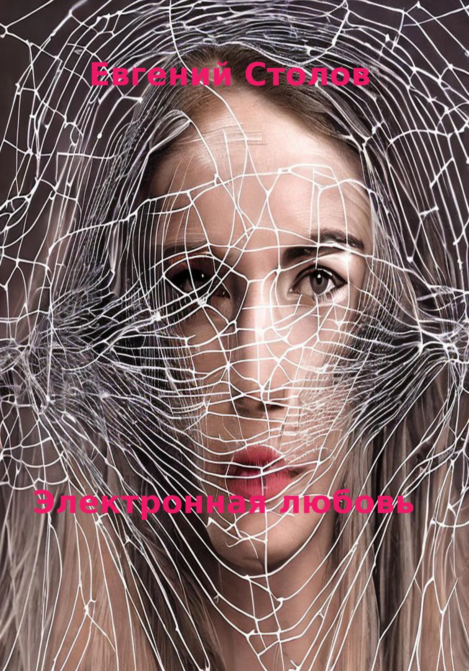 Обложка Электронная любовь