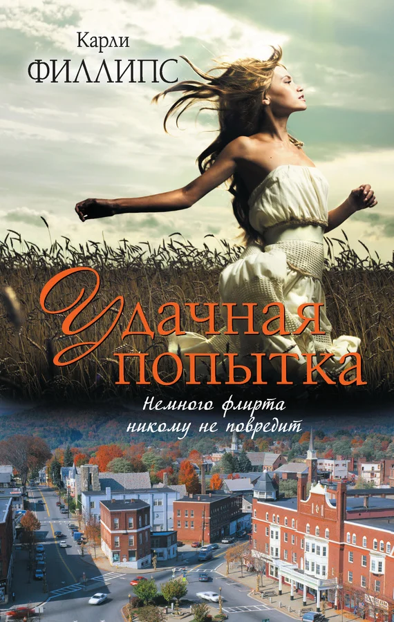 Обложка Удачная попытка