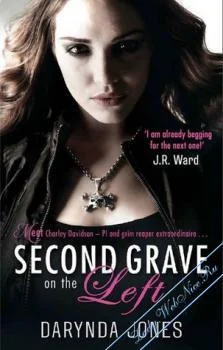 Обложка Вторая могила слева