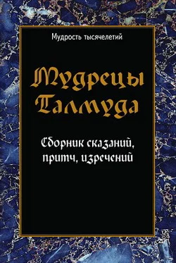 Обложка Мудрецы Талмуда. Сборник сказаний, притч, изречений