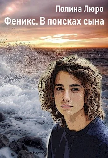 Обложка В поисках сына