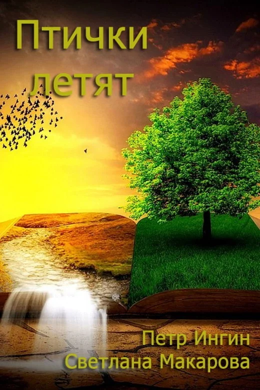 Обложка Птички летят