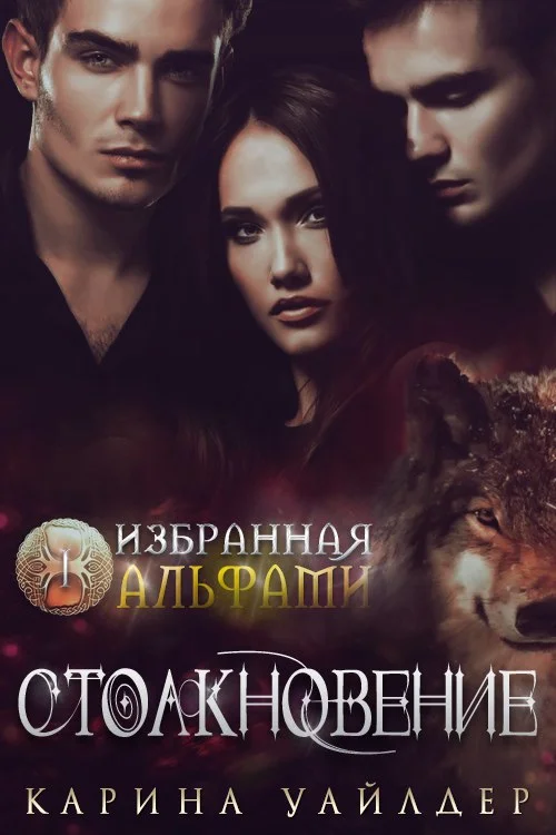 Обложка Столкновение
