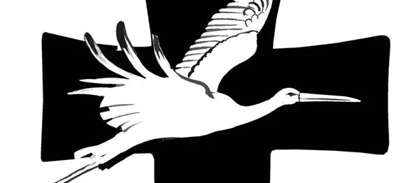 Обложка Газета Завтра 980 (37 2012)