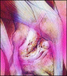 Обложка Береги суставы!