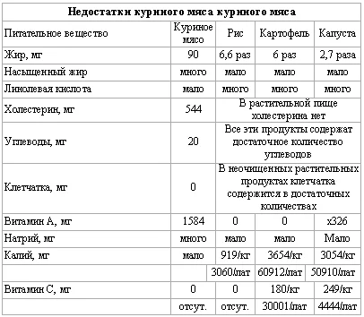 Обложка Основы здорового питания