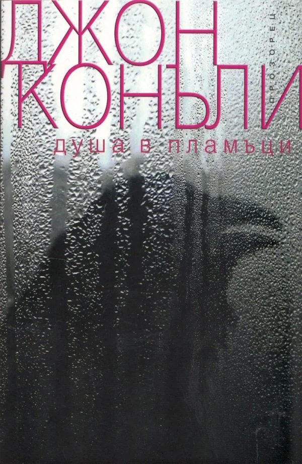 Обложка Душа в пламъци