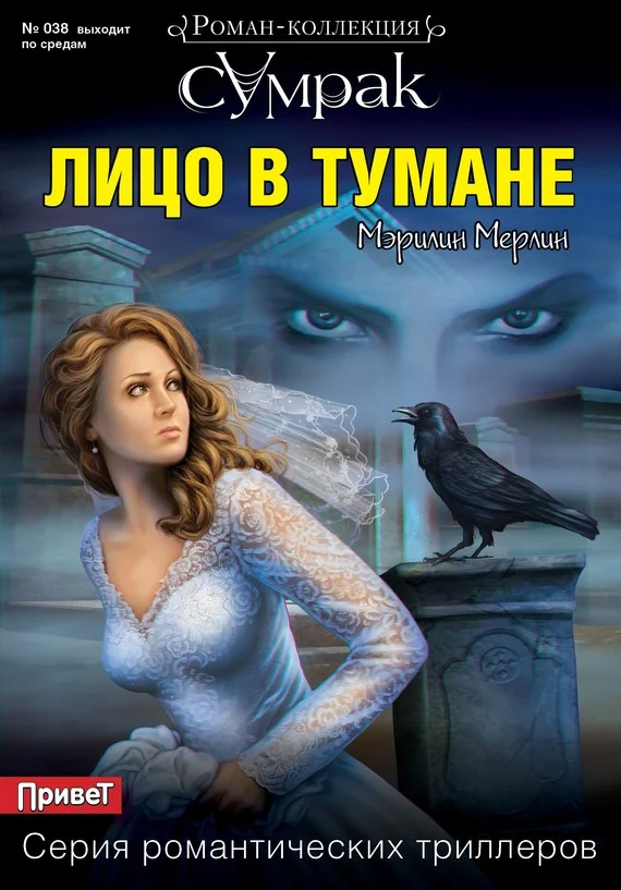 Обложка Лицо в тумане