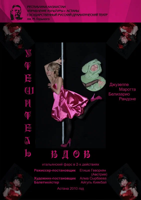 Обложка Утешитель вдов