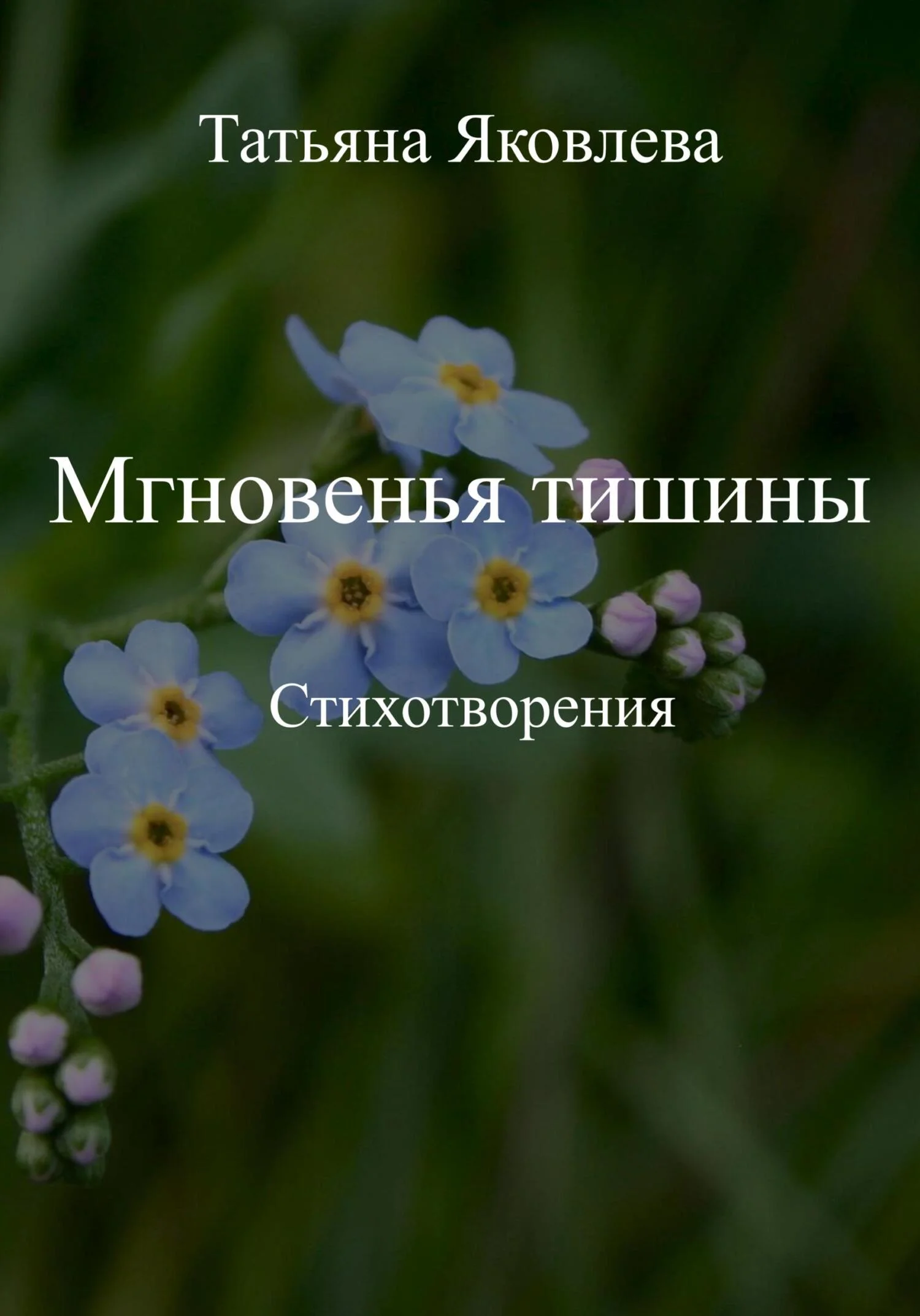 Обложка Мгновенья тишины. Стихотворения